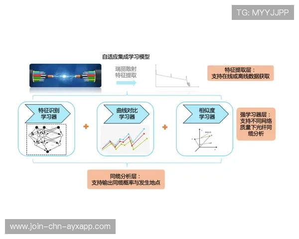 运动康复与AI诊断结合实现早期风险识别